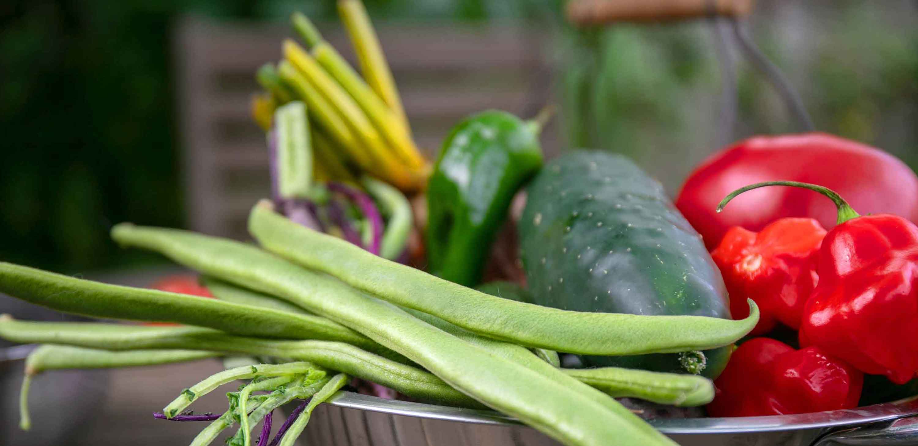 Cultivate Your Perfect Garden Paradise
